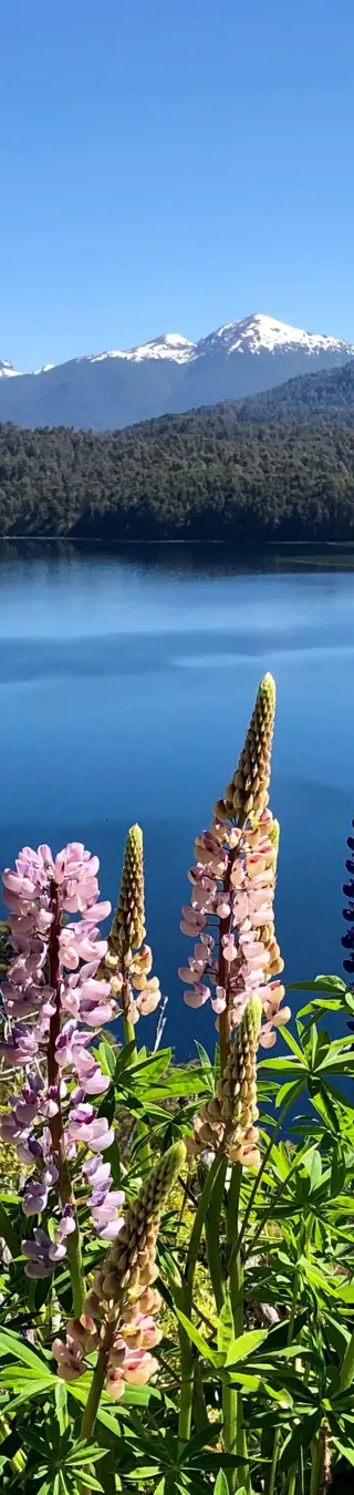 Sommerboten in Patagonien